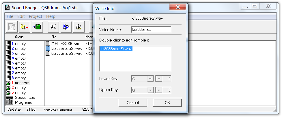 Sound Bridge Voice Info window